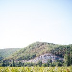 A FRENCH GARDEN WEDDING